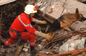  物聯網犬式嗅覺傳感器探測地震廢墟下生命